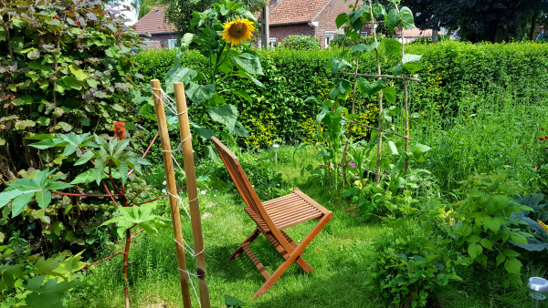 A wooden chair stands in a biodiverse vegetable garden.
