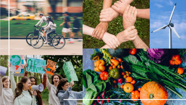 cycling, community, renewable energy, protest and political participation, vegetarian lifestyles