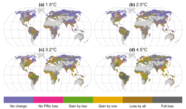 Fig. 2. Functional diversity change categories at warming levels