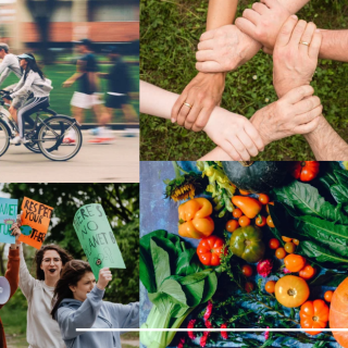 cycling, community, renewable energy, protest and political participation, vegetarian lifestyles