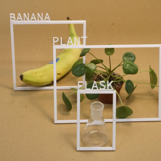 Banana Plant Flask AI