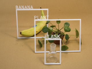 Banana Plant Flask AI